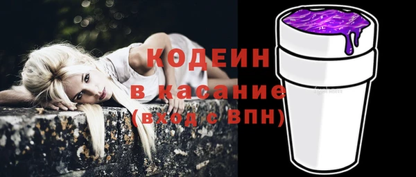 прущие грибы Балабаново