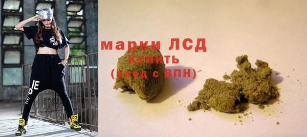 прущие грибы Балабаново