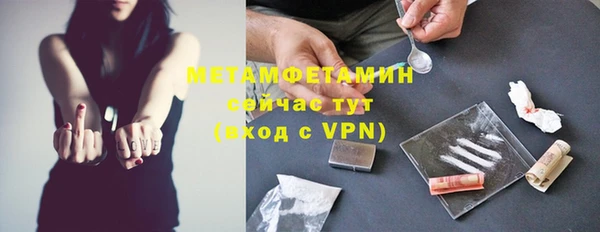прущие грибы Балабаново