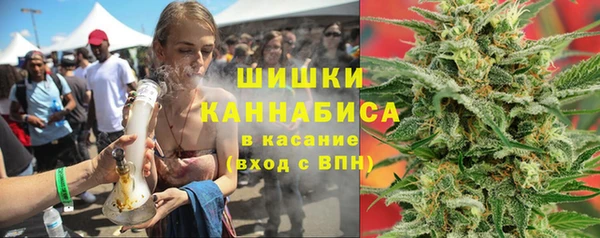 прущие грибы Балабаново