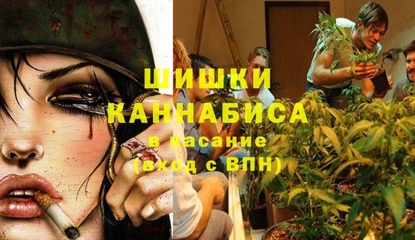 прущие грибы Балабаново