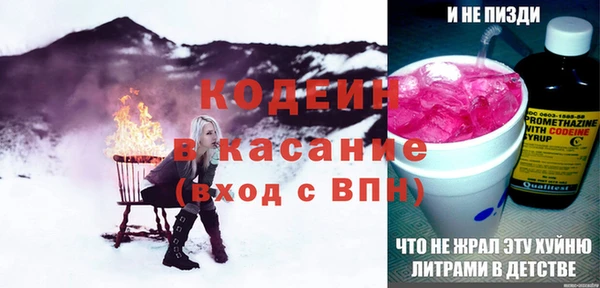 прущие грибы Балабаново
